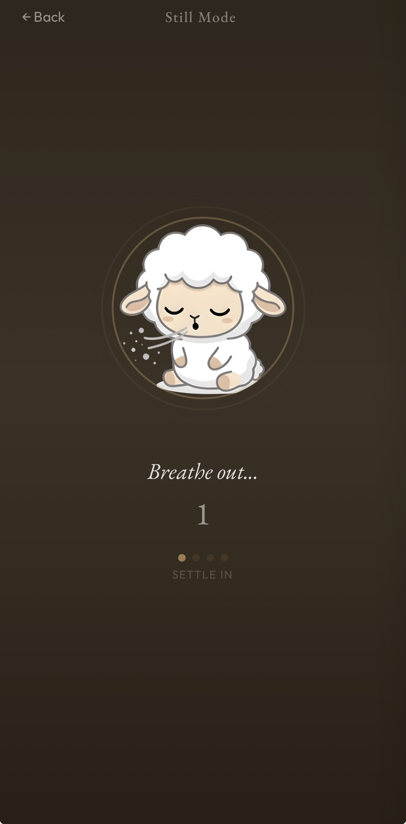 Screenshot of the Still Mode feature in the Still app